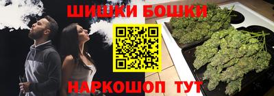 МДПВ Новозыбков
